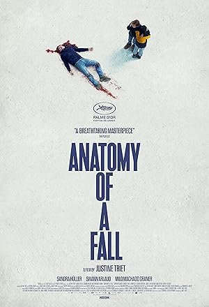 Anatomy of a Fall poster